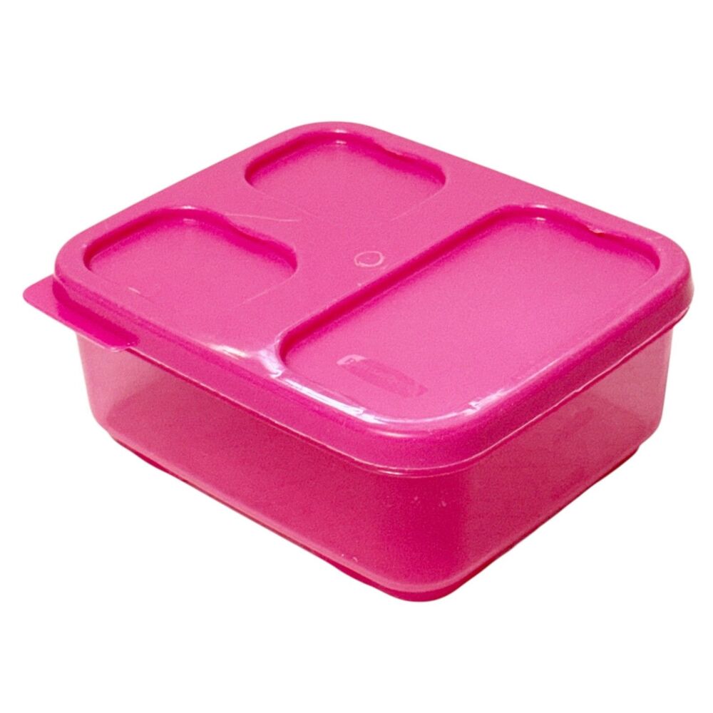 Rubbermaid LunchBlox Sandwich Container 2.6c Easy Store Lid Snaps on Bottom Pink